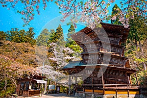 Aizu Sazaedo Temple with fallen sakura petals in Aizuwakamatsu, Japan