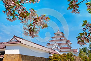 Aizu-Wakamatsu Castle with cherry blossom in Aizuwakamatsu, Japan