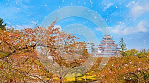 Aizu-Wakamatsu Castle and cherry blossom in Fukushima, Japan