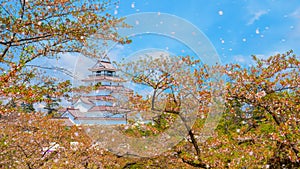 Aizu-Wakamatsu Castle and cherry blossom in Fukushima, Japan