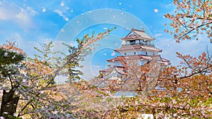 Aizu-Wakamatsu Castle and cherry blossom in Fukushima, Japan