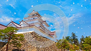 Aizu-Wakamatsu Castle and cherry blossom in Fukushima, Japan