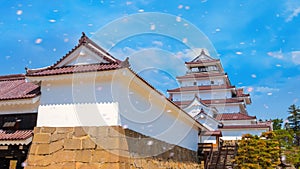 Aizu-Wakamatsu Castle and cherry blossom in Fukushima, Japan