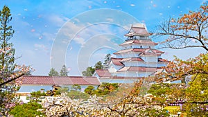 Aizu-Wakamatsu Castle and cherry blossom in Fukushima, Japan