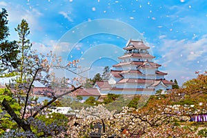 Aizu-Wakamatsu Castle and cherry blossom in Fukushima, Japan