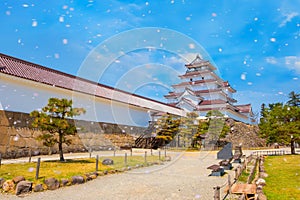 Aizu-Wakamatsu Castle and cherry blossom in Fukushima, Japan