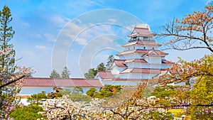 Aizu-Wakamatsu Castle with cherry blossom in Fukushima, Japan