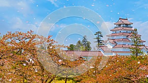 Aizuwakamatsu Castle and cherry blossom in Fukushima, Japan