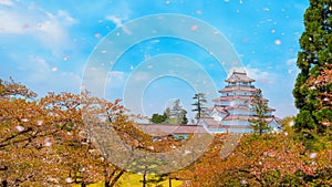 Aizuwakamatsu Castle and cherry blossom in Fukushima, Japan