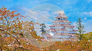 Aizuwakamatsu Castle and cherry blossom in Fukushima, Japan