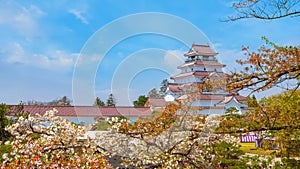 Aizuwakamatsu Castle with cherry blossom in Fukushima, Japan