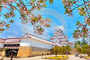 Aizuwakamatsu Castle with cherry blossom in Fukushima, Japan