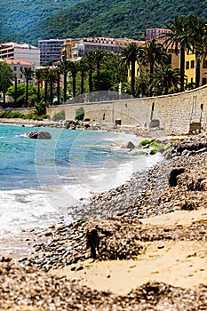 Ajaccio old city center coastal cityscape with palm trees and typical old houses, Corsica, France, Mediterranean Sea