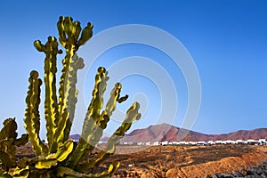 Ajaches mountain in Playa Blanca Lanzarote