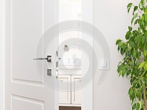 Ajar white door to the bathroom. Series switch on a light gray w