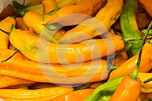 Aji amarillo, yellow chili pepper from South America, Arequipa, Peru. Natural market look photo