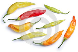 Aji Cristal C. baccatum chile, paths, top view