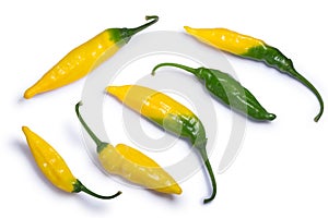 Aji pineapple C. baccatum, paths, top view