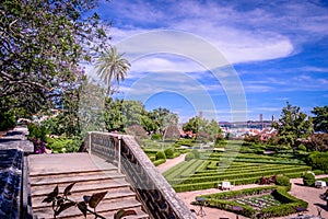 Ajuda botanical garden, several trees and staircase, as background 25th of  April Bridge over the Tejo and Christ the King, Lisbon