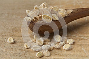 Ajwain fruit