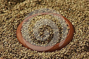 Ajwine or Carom Seeds is an uncommon spice used for flavouring