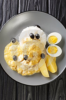 AjÃÂ­ de gallina a traditional peruvian food recipe with chicken meat and pepper sauce in the plate. Vertical top view photo