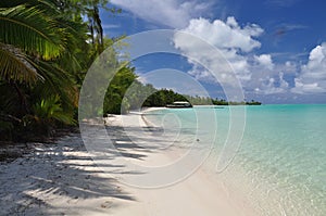 Akaiami in the Aitutaki Lagoon - Cook Islands