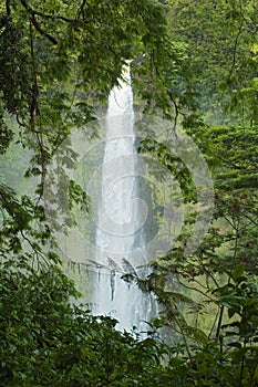 Akaka Falls photo