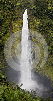 Akaka Falls photo