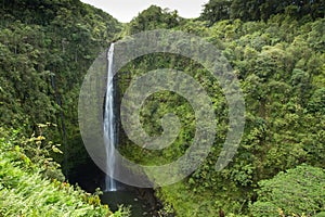 Akaka Falls