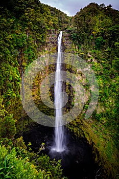 Akaka Falls 2