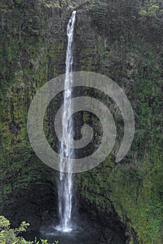 Akaka Falls photo