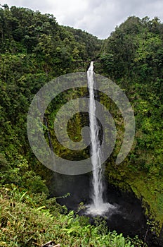 Akaka falls photo