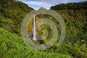 Akaka falls photo