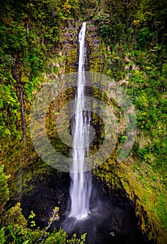 Akaka Falls