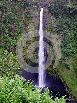 Akaka Falls photo