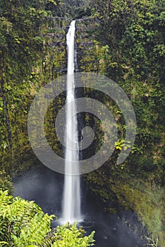 Akaka falls on big island of Hawaii