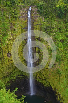 Akaka Falls, Big Island, Hawaii photo