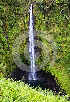 Akaka Falls, Big Island, Hawaii photo