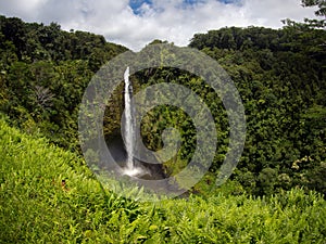 Akaka falls Big Island Hawaii photo