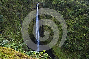 Akaka Falls, Big Island, Hawaii photo