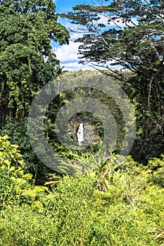 Akaka Falls, Big Island, Hawaii