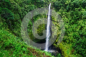 Akaka falls photo