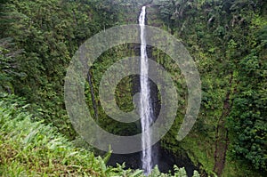 Akaka falls close to Hilo, Big Island, Hawaii