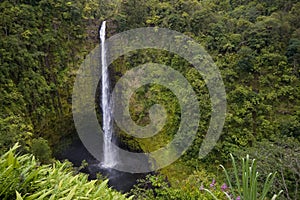 Akaka Falls Hawaii photo