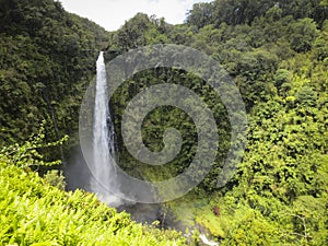 Akaka Falls Hawaii