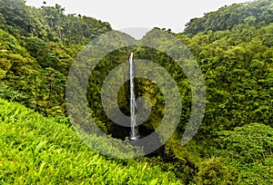 Akaka falls Hawaii, Big Island photo