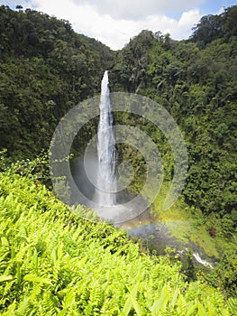 Akaka Falls Hawaii photo