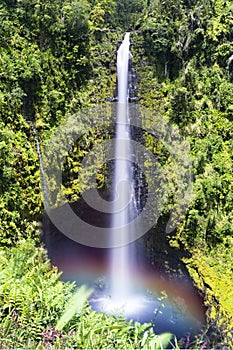 Akaka Falls Hawaii photo