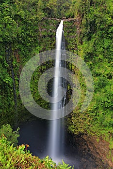 Akaka falls state park  in hawaii